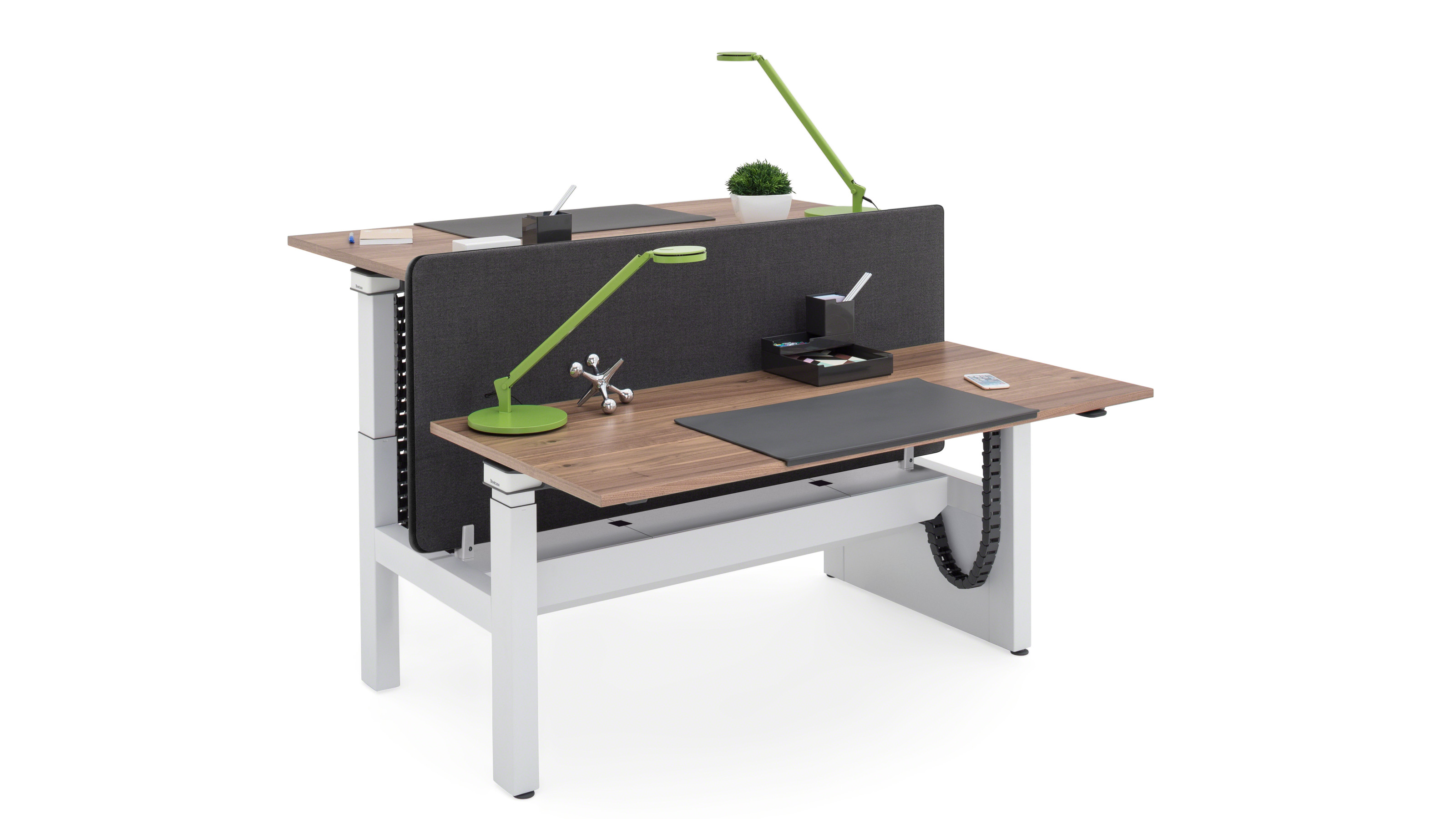 Ology Bench