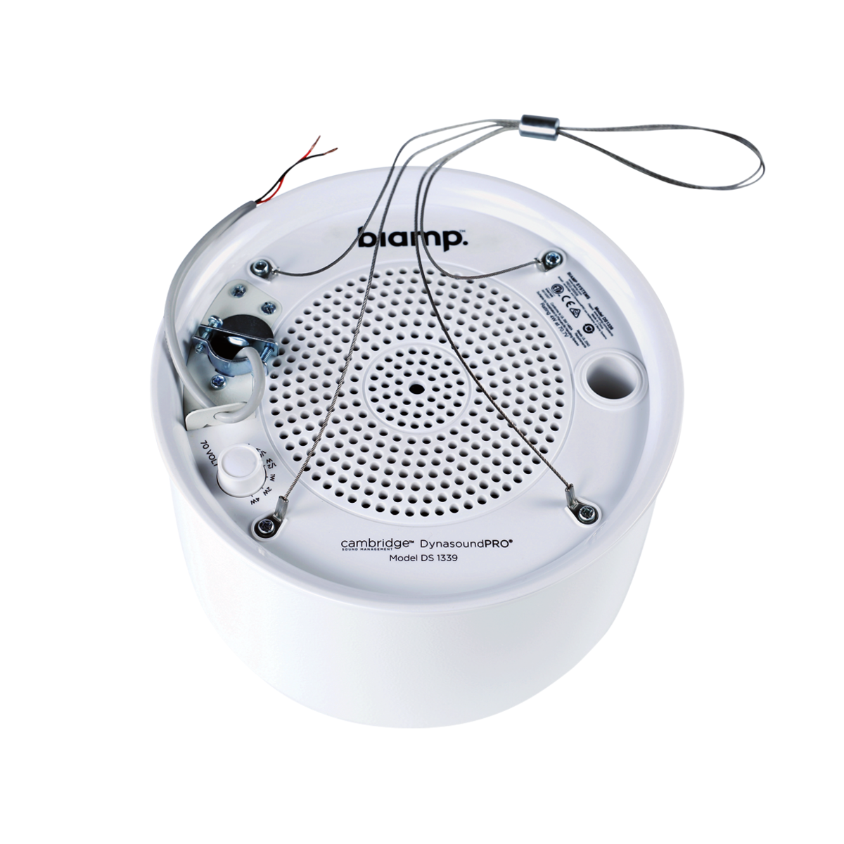 Cambridge DS1339W